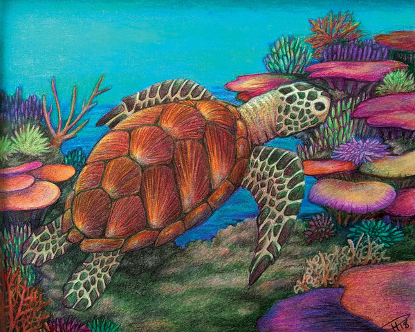 Colored Pencil Turtle Print